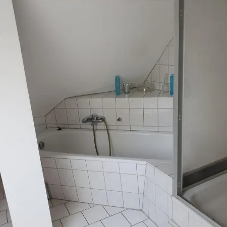 Attic Oelsnitz Am Hegebach Mit Netflix Und Parkplatz Self Check-in Apartment Oelsnitz (Erzgebirge)