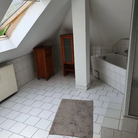 Apartment Attic Oelsnitz Am Hegebach Mit Netflix Und Parkplatz Self Check-in Oelsnitz (Erzgebirge)