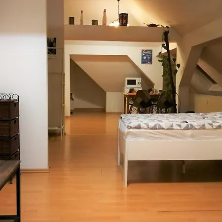 Attic Oelsnitz Am Hegebach Mit Netflix Und Parkplatz Self Check-in * Oelsnitz (Erzgebirge)