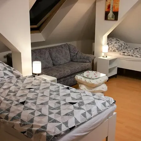 Attic Oelsnitz Am Hegebach Mit Netflix Und Parkplatz Self Check-in