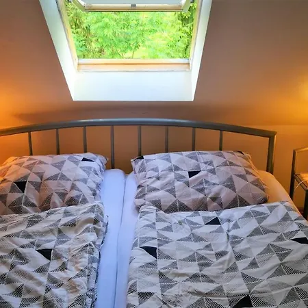 Apartment Attic Oelsnitz Am Hegebach Mit Netflix Und Parkplatz Self Check-in Oelsnitz (Erzgebirge)
