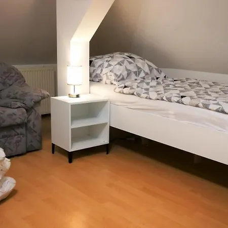 Attic Oelsnitz Am Hegebach Mit Netflix Und Parkplatz Self Check-in Oelsnitz (Erzgebirge)